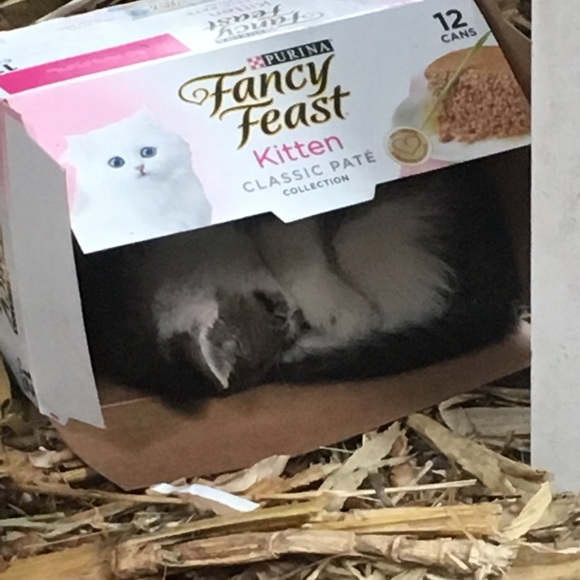 Meet your Posher, Christine - Picture 6 of 16